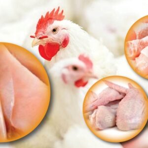 Chicken products