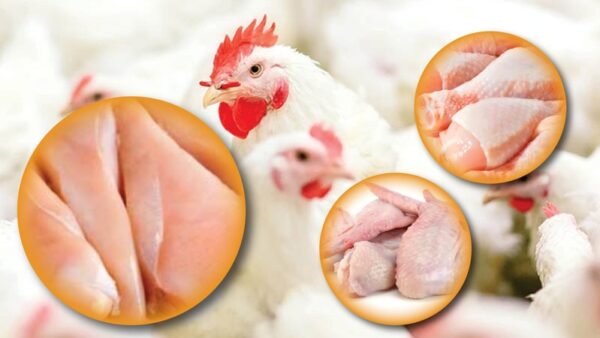 Chicken products