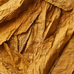 Virginia Tobacco Leaf